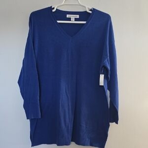 Blue V-Neck Sweater
